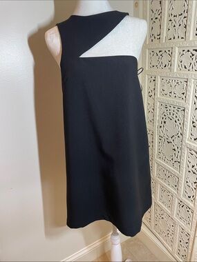 re:named Black Sleeveless Cutout Mini Dress